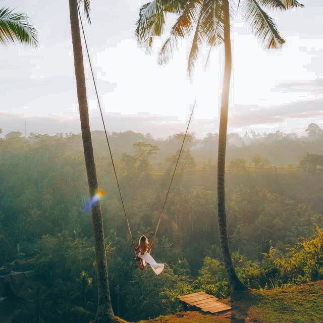Columpio de bali con vistas a la selva y los arrozales